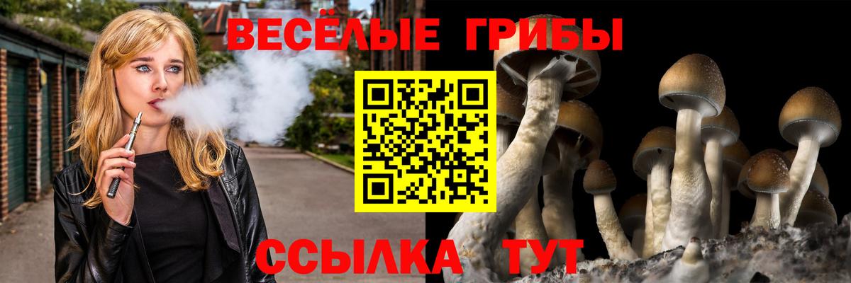 Тутаев  Галлюциногенные грибы ЛСД  Вход с VPN  Псилоцибиновые грибы прущие грибы 